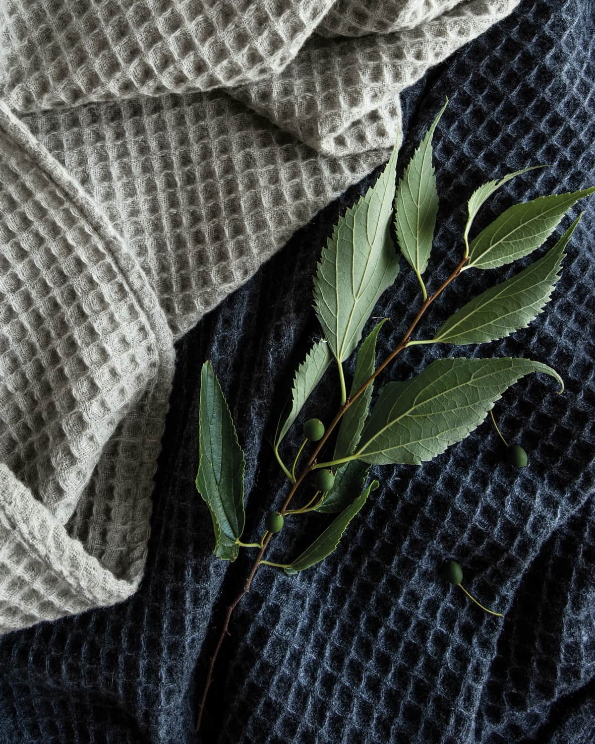 Bolzan-Shop-Nidodape-27-Blu-Notte-04